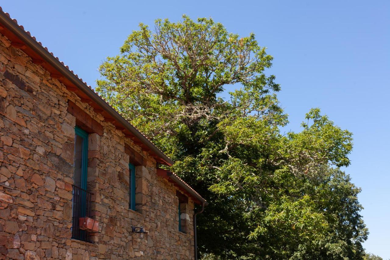 Casa Terra Alma Pensionat Laza Exteriör bild